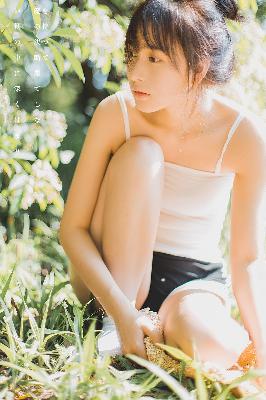 雪豹电视剧全集免费观看完整版